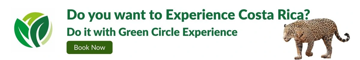 The most sustainable experience in the greenest country in the world